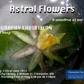 Astral Flowers exhibition
